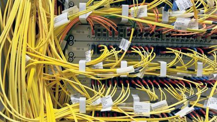 Immer verbunden. Die eigene Internetseite und Profile in beruflich relevanten Portalen helfen dabei, sich einen breiten Kontaktkreis aufzubauen. Auch Webneulinge können lernen, das Internet für sich zu nutzen. Foto: dpa
