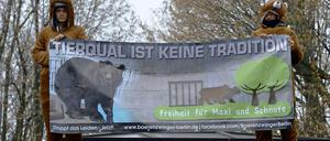 Tierschützer auf dem Dach des Bärenzwingers: "Tierqual ist keine Tradition. Freiheit für Maxi und Schnute" 