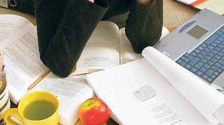 So viel Stoff. Für den Lernerfolg ist es entscheidend, für sich die richtige Lernmethode zu finden. Das können Mindmaps sein oder das Vorlesen. Eine angenehme Atmosphäre fördert übrigens die Konzentration. Foto: dpa