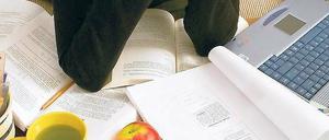 So viel Stoff. Für den Lernerfolg ist es entscheidend, für sich die richtige Lernmethode zu finden. Das können Mindmaps sein oder das Vorlesen. Eine angenehme Atmosphäre fördert übrigens die Konzentration. Foto: dpa