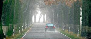 Auf dem Weg nach Osten. Viele Pkw, die in Berlin oder Brandenburg entwendet werden, landen in Osteuropa. Die Eigentümer sehen ihre Fahrzeuge oft nicht wieder. Nach vier Wochen springt die Versicherung ein. Doch über die Höhe der Entschädigung gibt es nicht selten Streit. 