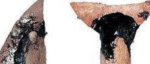 Praktisch. Die kleinen Klingen dienten Jagd und Handwerk.