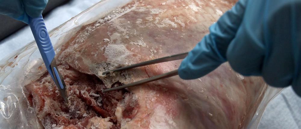 Kontrolleure fanden 2011 in jedem vierten Lebensmittelbetrieb erhebliche Hygienemängel.