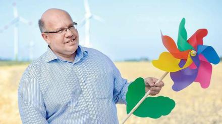 „Ich stehe zur Energiewende“, sagt Bundesumweltminister Peter Altmaier (CDU). Das Foto zeigt ihn vor dem ersten kommerziellen Windpark in Kaiser-Wilhelm-Koog in Schleswig-Holstein während seiner Sommertour. Eine EEG-Reform vor der Wahl ist kaum möglich, aber er will die Zeit wenigstens für die Debatte nutzen. Foto: Marcus Brandt/pa/dpa