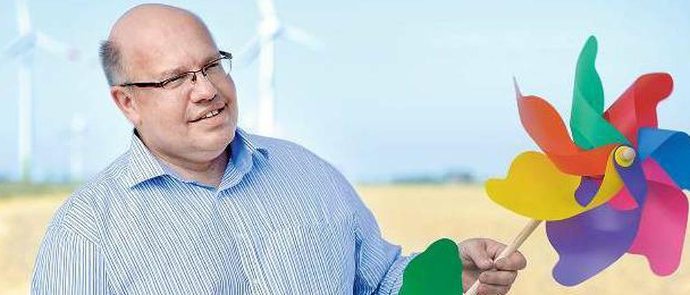 „Ich stehe zur Energiewende“, sagt Bundesumweltminister Peter Altmaier (CDU). Das Foto zeigt ihn vor dem ersten kommerziellen Windpark in Kaiser-Wilhelm-Koog in Schleswig-Holstein während seiner Sommertour. Eine EEG-Reform vor der Wahl ist kaum möglich, aber er will die Zeit wenigstens für die Debatte nutzen. Foto: Marcus Brandt/pa/dpa