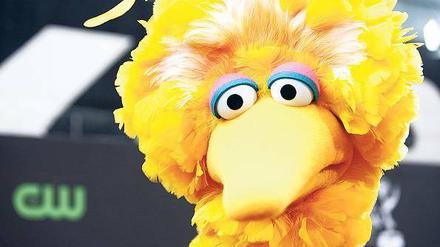 Die Figur Big Bird, die in der deutschen Fassung Bibo heißt. Romney hat immerhin eingeräumt, dass er diese Figur mag. 