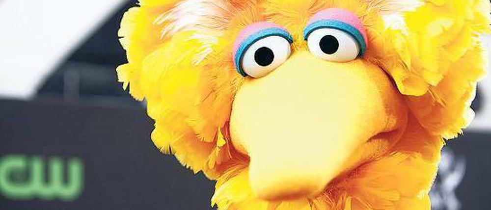 Die Figur Big Bird, die in der deutschen Fassung Bibo heißt. Romney hat immerhin eingeräumt, dass er diese Figur mag. 