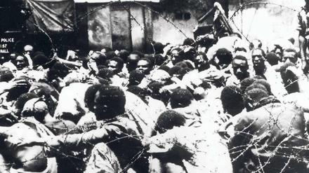 Erbärmlich. Hunderttausende Kikuyu wurden in den 50er Jahren interniert. Zehntausende wurden getötet. 