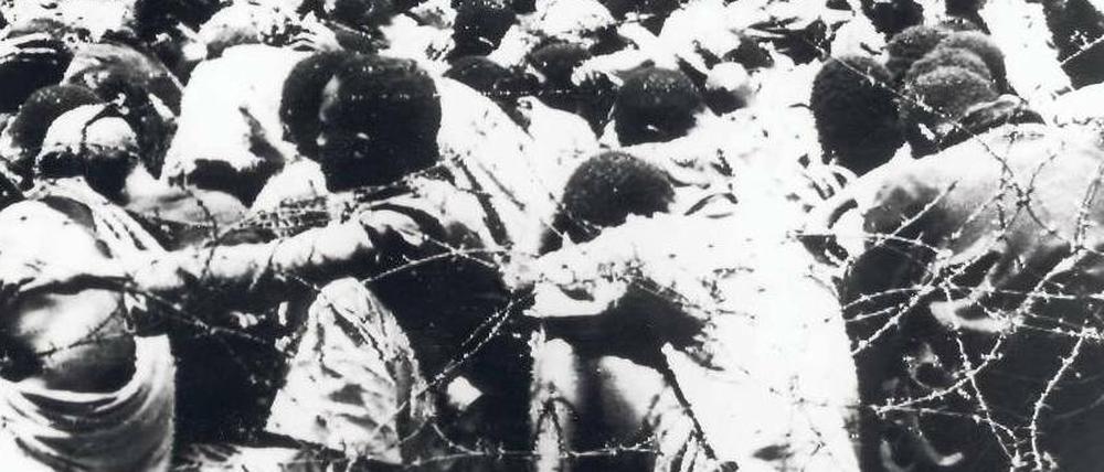 Erbärmlich. Hunderttausende Kikuyu wurden in den 50er Jahren interniert. Zehntausende wurden getötet.