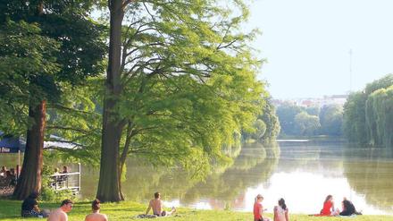 Ein Hauch Central Park. Im Sommer versammeln sich Liebende, Sonnenanbeter, Jogger und Meditierende im Lietzenseepark, wo viele Sprachen zu hören sind.