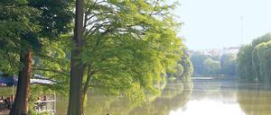 Ein Hauch Central Park. Im Sommer versammeln sich Liebende, Sonnenanbeter, Jogger und Meditierende im Lietzenseepark, wo viele Sprachen zu hören sind.