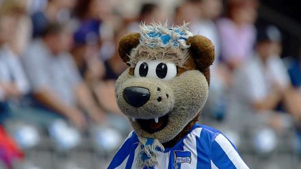 Herthino wäre sicherlich lieber in der ersten Liga geblieben... doch jetzt freut er sich auf die Bratwurst in Regensburg.