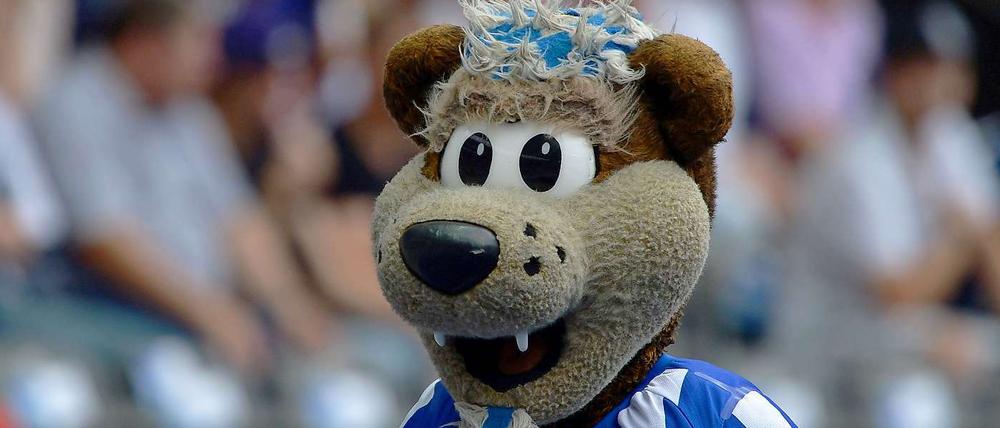 Herthino wäre sicherlich lieber in der ersten Liga geblieben... doch jetzt freut er sich auf die Bratwurst in Regensburg.