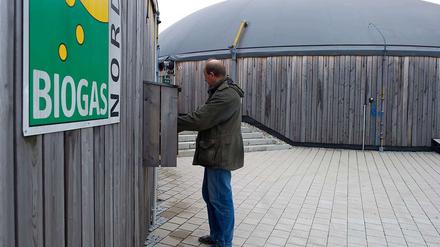 Biogas aus Mist und Gülle zu produzieren, sei durchaus sinnvoll, meint die Leopoldina.