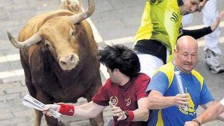Gehetzt. Männer flüchten vor Stieren. Doch die Stiere sterben in der Arena. Foto: AFP