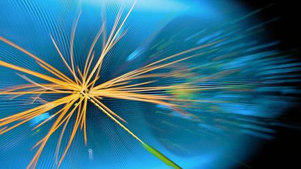 Gott ist tot! Lang lebe das Higgs-Boson. So einfach ist es dann doch nicht... Auf dem Bild zu sehen ist übrigens nicht das Higgs-Boson, sondern der Zusammenstoß von zwei Protonen.