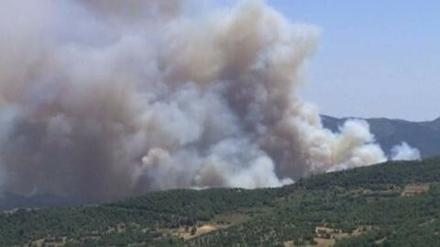 Türkische Einsatzkräfte versuchen seit Mittwoch, ein Feuer unter Kontrolle zu bringen, das in Syrien ausgebrochen war und inzwischen auch mehrere Hektar Land in der Türkei zerstört hat.