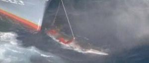 Südkorea hat mit seiner Ankündigung, den Walfang wieder aufnehmen zu wollen, für Entsetzen bei Tierschützern gesorgt.