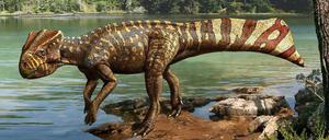 Kalt- oder Warmblüter? Diese Frage beschäftigt Dinoforscher seit Jahrzehnten.