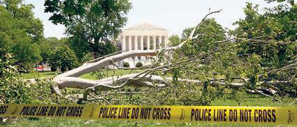 Ausnahmezustand in Washington. Umgestürzter Baum vor dem Kapitol. Foto: dapd