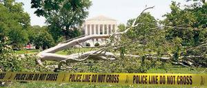 Ausnahmezustand in Washington. Umgestürzter Baum vor dem Kapitol. Foto: dapd