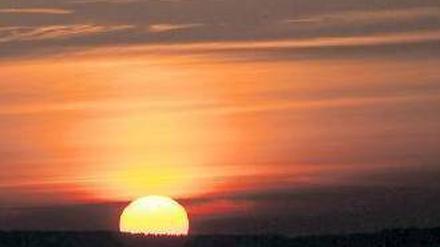 Hoffnungsschimmer. Nach einer Reihe von Insolvenzen in Berlin und Brandenburg gibt es nun erste Anzeichen für einen Sonnenaufgang in der Branche.Foto: dapd