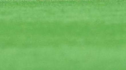 Das altbekannte Bild. Arjen Robben leidet nach frustrierenden Niederlagen und eigenen Fehlern. Nur das Trikot wechselt regelmäßig. Diesmal leidet er im holländischen Dress. 