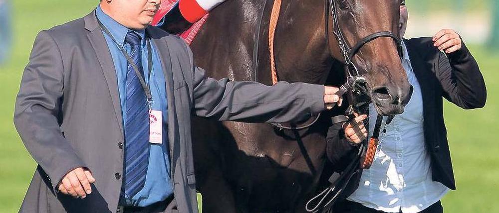 Ein Mann des Erfolgs. Jockey Andrasch Starke hat so viel in seiner Karriere gewonnen, dass er jetzt abgeklärt in die Rennen gehen kann. Auch heute in Hoppegarten. Foto: dpa