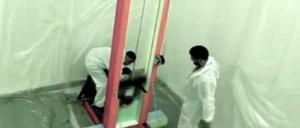 Soll dieses Schaf getötet werden? Mit dieser Frage provozieren zwei Künstler im Internet.