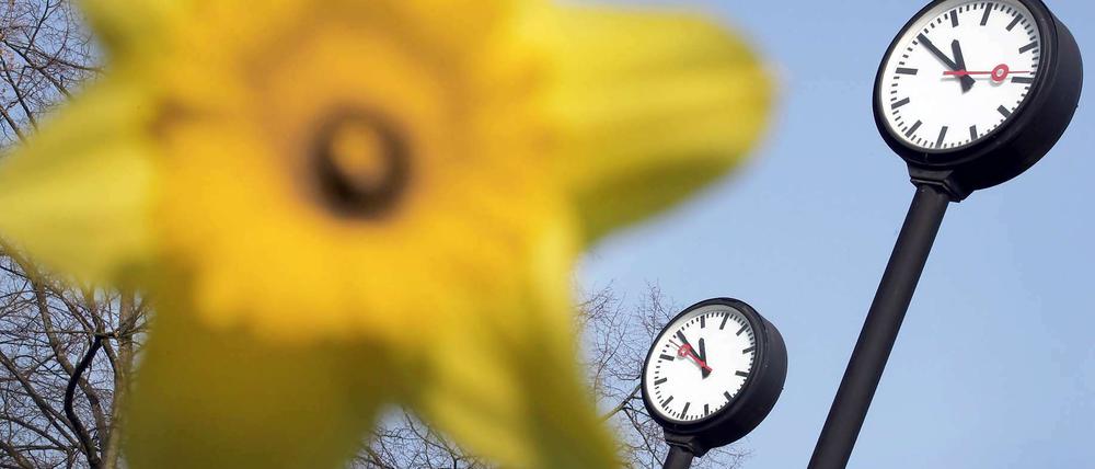 Sommerzeit: Die Deutschen "verlieren" eine Stunde Zeit. Die FDP wittert eine Chance, verlorene Wählerstimmen wiederzugewinnen.