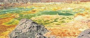 Die spektakulärste Wüste der Welt. Die Danakil-Senke liegt mehr als 100 Meter tiefer als der Meeresspiegel. Sie gehörte früher zum Roten Meer, wurde geologisch abgetrennt und trocknete aus. Die Farben entstehen durch Salze, Metalle und Mineralien.