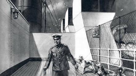 Vor allem amerikanische Kreuzfahrtgesellschaften sind hier sehr offen, schon allein weil es US-Gesetze so vorschreiben.