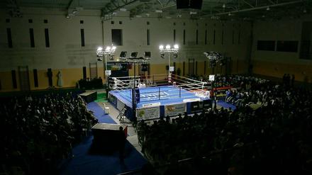 2012 im Ring: Amazon, Google, Facebook und Apple. Der Pokal: Das Tor zum Internet.