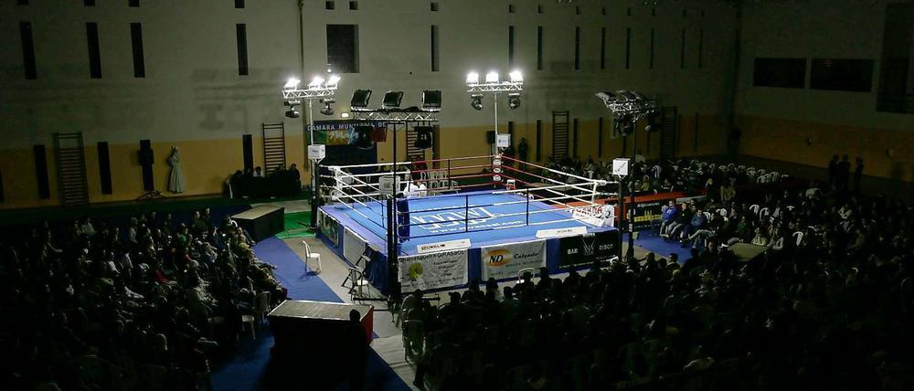 2012 im Ring: Amazon, Google, Facebook und Apple. Der Pokal: Das Tor zum Internet.