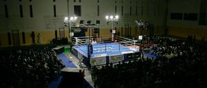 2012 im Ring: Amazon, Google, Facebook und Apple. Der Pokal: Das Tor zum Internet.