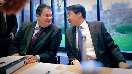 Patrick Döring (links) und FDP-Chef Philipp Rösler.