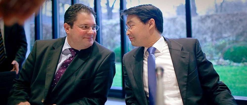 Patrick Döring (links) und FDP-Chef Philipp Rösler.