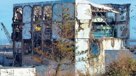Oben: Vier der Reaktoren im Atomkraftwerk Fukushima Daiichi wurden bei dem schweren Erdbeben und Tsunami am 11. März beschädigt. Es kam zu Kernschmelzen, die Umwelt wurde verstrahlt. Zehntausende Bewohner mussten ihre Häuser verlassen. Es wird nach Planung der japanischen Regierung etwa 40 Jahre dauern, bis die Unglücksreaktoren vollständig abgerissen sind. Unten: Schafe grasen im Solarpark Bruhrain bei Waghäusel nahe Karlsruhe. Hier wird seit 2007 umweltfreundlicher Strom produziert. Fotos: dpa, Reuters