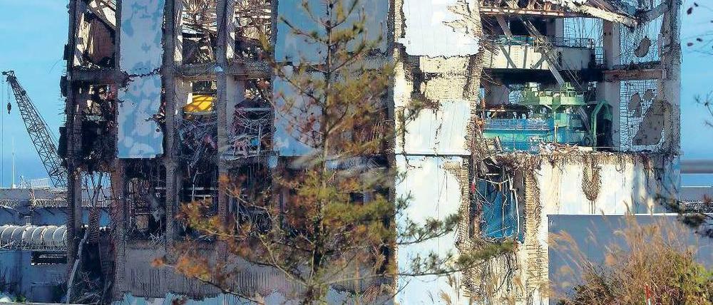 Oben: Vier der Reaktoren im Atomkraftwerk Fukushima Daiichi wurden bei dem schweren Erdbeben und Tsunami am 11. März beschädigt. Es kam zu Kernschmelzen, die Umwelt wurde verstrahlt. Zehntausende Bewohner mussten ihre Häuser verlassen. Es wird nach Planung der japanischen Regierung etwa 40 Jahre dauern, bis die Unglücksreaktoren vollständig abgerissen sind. Unten: Schafe grasen im Solarpark Bruhrain bei Waghäusel nahe Karlsruhe. Hier wird seit 2007 umweltfreundlicher Strom produziert. Fotos: dpa, Reuters