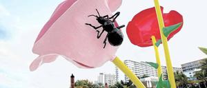 Dicker Brummer. In Miami präsentiert sich Kunst im öffentlichen Raum im XXL-Format. Foto: Reuters