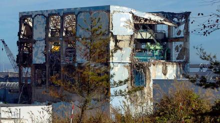 Sperrgebiet. Die Reaktoren des Atomkraftwerks Fukushima Daiichi könnten unter Kontrolle sein, die Strahlung bleibt.