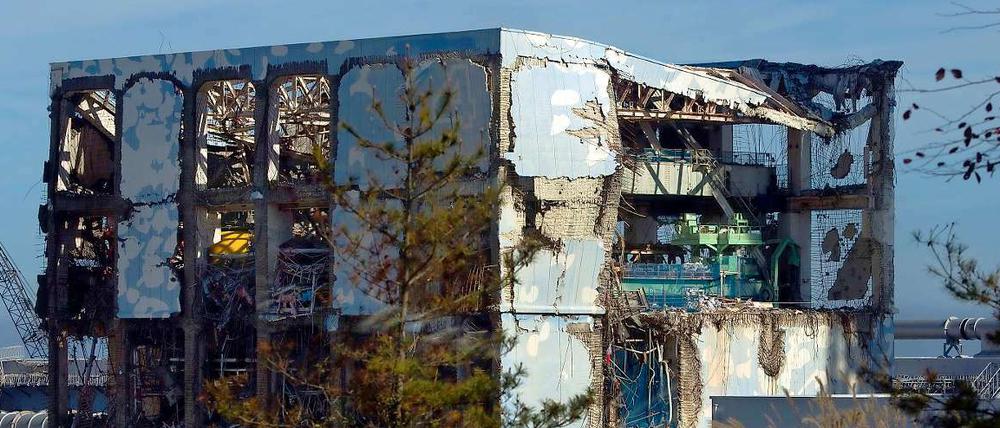 Sperrgebiet. Die Reaktoren des Atomkraftwerks Fukushima Daiichi könnten unter Kontrolle sein, die Strahlung bleibt.
