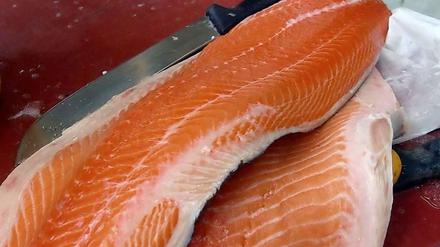 Holger Zurbrüggen empfiehlt für dieses Gericht Wildlachs; normaler Lachs geht selbstverständlich auch, allerdings ist der fetthaltiger...