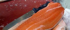 Holger Zurbrüggen empfiehlt für dieses Gericht Wildlachs; normaler Lachs geht selbstverständlich auch, allerdings ist der fetthaltiger...