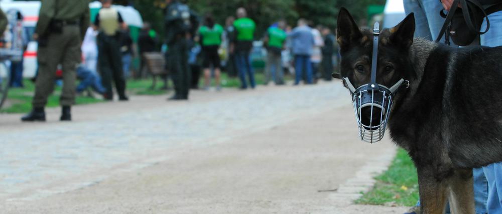 Lampen statt Hundestaffel: Im Görlitzer Park soll Licht künftig für mehr Sicherheit sorgen.