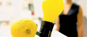 Wenn das mit dem Strom nur immer so einfach wäre, wie in der Installation „Capri-Batterie“ von Joseph Beuys. Foto: dpa