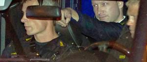 Wo jeweils die Linie zwischen psychischer Erkrankung und Straffähigkeit zu ziehen ist, wird, vor allem bei Einzeltätern, von Fall zu Fall umstritten bleiben.