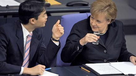 Schwarz-Gelb streitet mal wieder. Diesmal über die Einführung von Euro-Bonds.