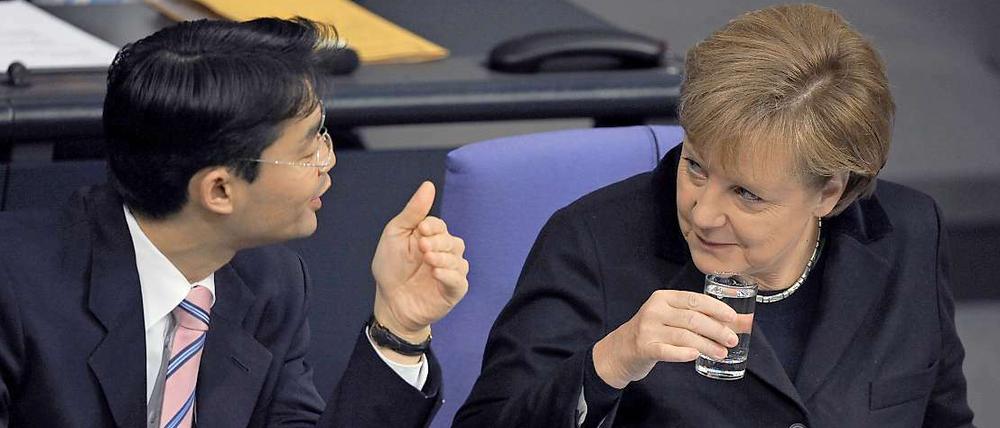 Schwarz-Gelb streitet mal wieder. Diesmal über die Einführung von Euro-Bonds.