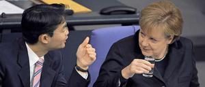Schwarz-Gelb streitet mal wieder. Diesmal über die Einführung von Euro-Bonds.